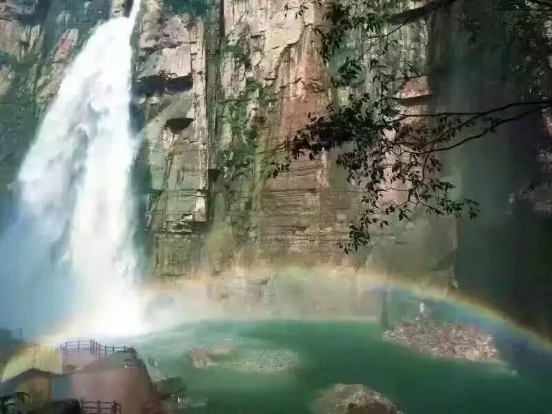 淘气兔救援